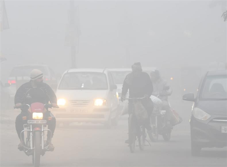 Intense cold wave sweeps Punjab, Haryana; dense fog reduces visibility