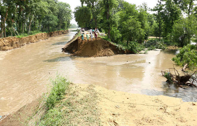 Rohtak: Breach in canal damages wheat crop in village, farmer dies