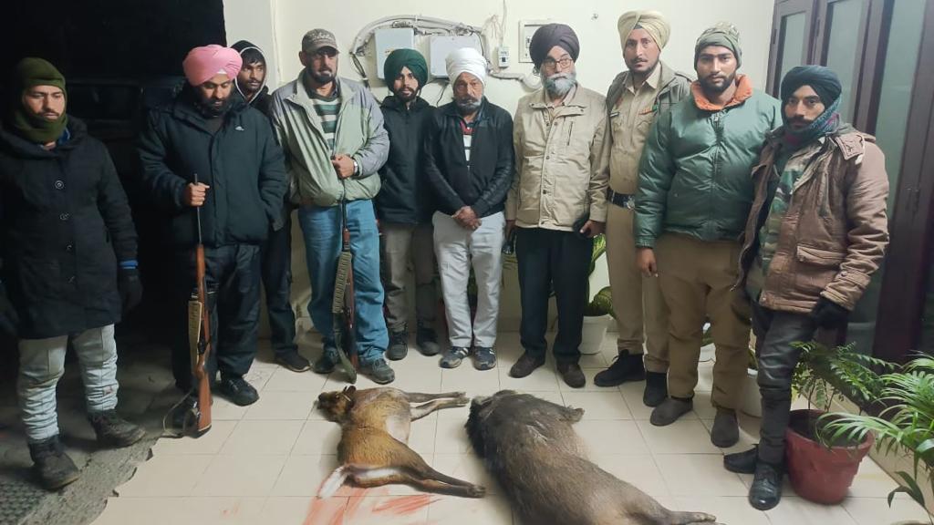 Chandigarh resident among 4 nabbed by wildlife officials for hunting barking deer near Anandpur Sahib