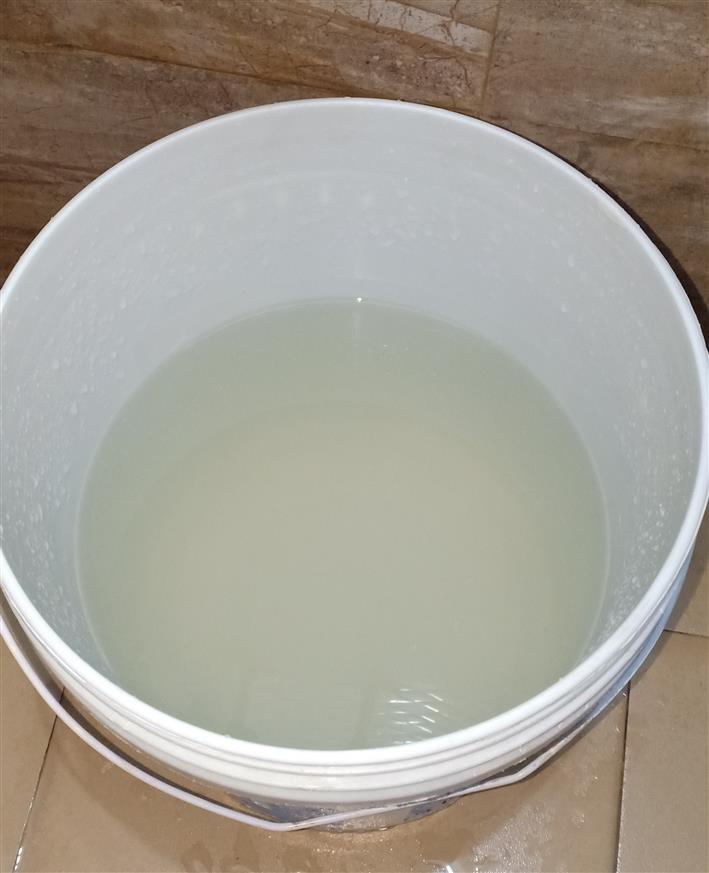 Contaminated water hazardous to Panchkula residents