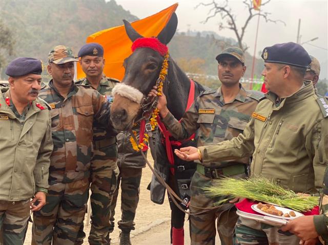 Indian Army's mule commended for standing at the forefront during clash with Chinese troops