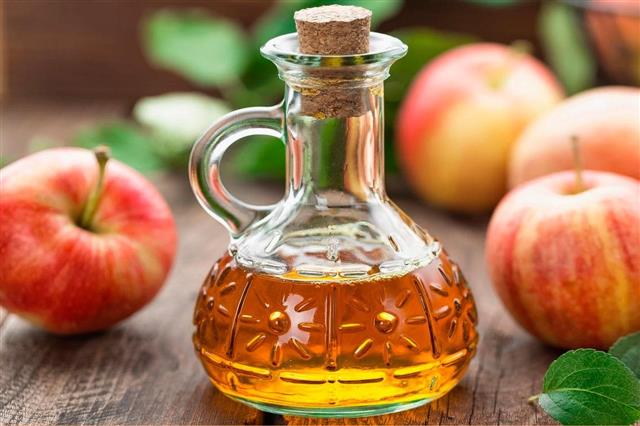 Best ACV Gummies & Apple Cider Vinegar Supplements on the Market 2023