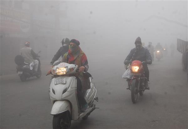 Dense fog, 'China dor' to blame for power cuts in Amritsar: PSPCL