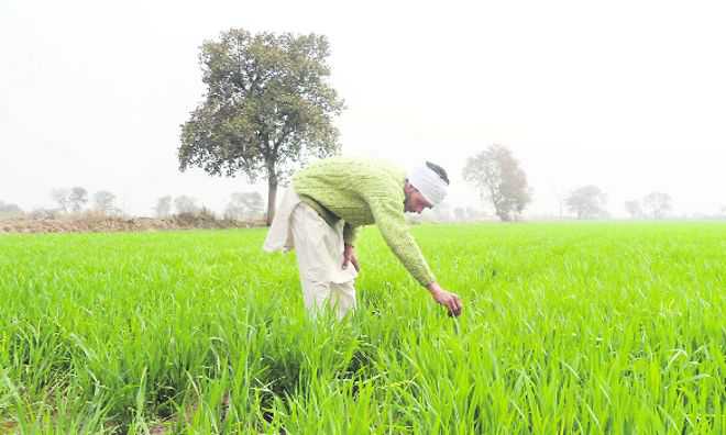 Need to make agri-food systems climate-smart