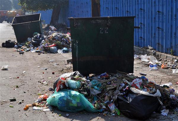 Garbage near bins shows residents' poor civic sense
