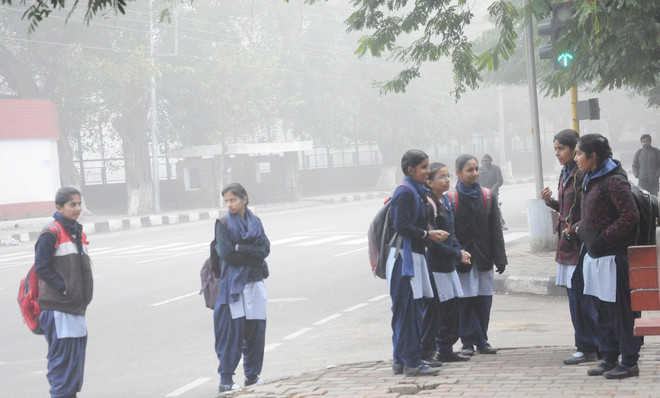 Haryana Government extends winter break in private, government schools till January 21
