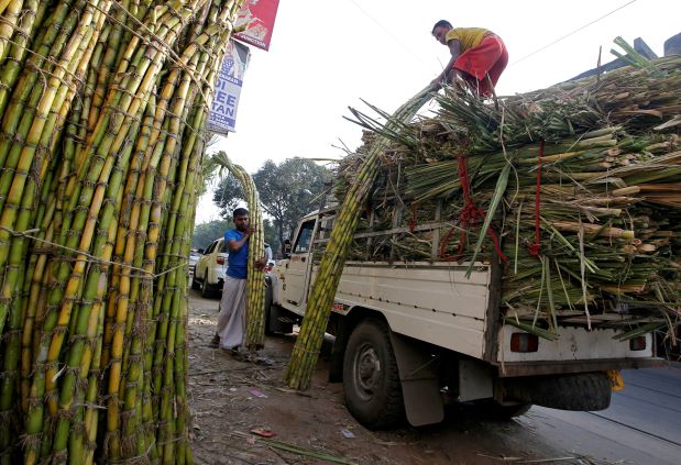 Day after increase in sugarcane SAP by Haryana govt, BKU calls off agitation