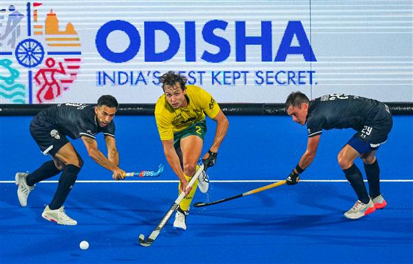 Hockey World Cup: Australia held to 3-3 draw by Argentina, Netherlands crush New Zealand