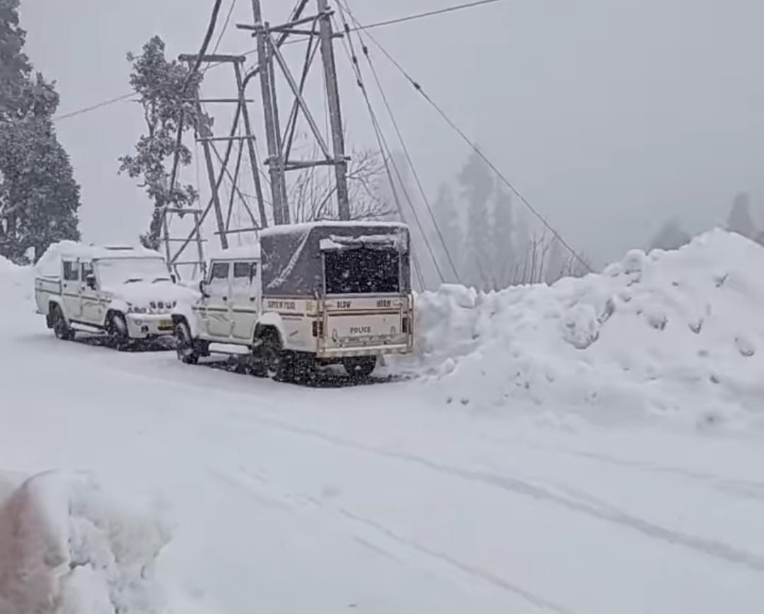 Cold wave intensifies across Himachal; Rohtang records 30 cm snowfall