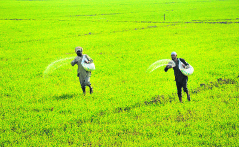 Punjab’s agri policy must be all-encompassing