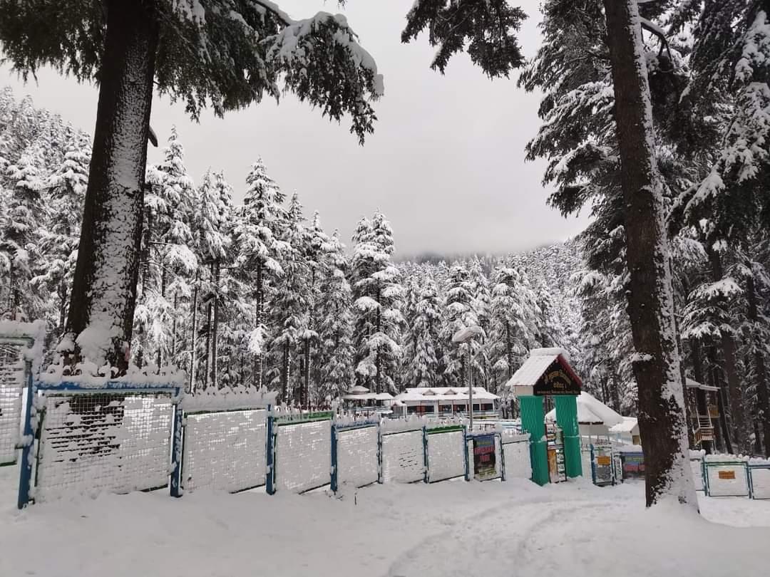 Narkanda, Manali and  Kufri receive snowfall