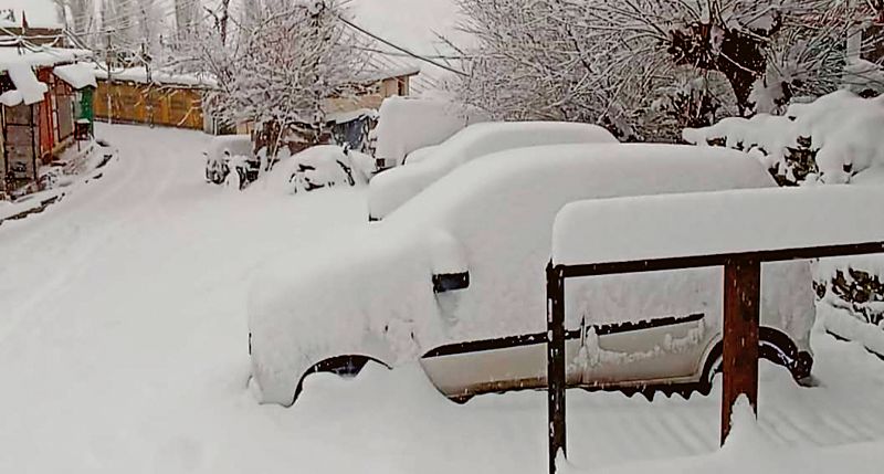 Snowfall eludes Shimla, Solan, Sirmaur & Kinnaur districts again