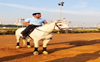 Randeep Hooda gets severely injured while horse riding, hospitalised