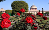 Rashtrapati Bhavan’s Mughal Gardens renamed ‘Amrit Udyan’