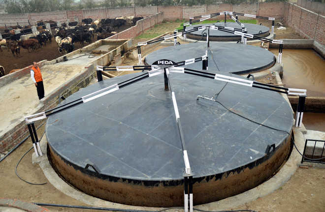 Biogas plant to come up at Ram Tirath gaushala