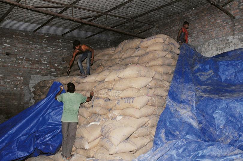 Pehowa: Notice to rice millers over shortfall in paddy stocks