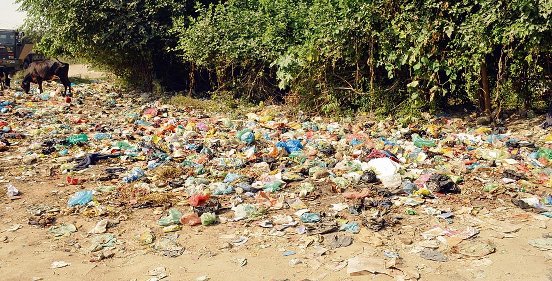 Amritsar Ward Watch Ward No. 20: Dug-up roads, garbage heaps bane of residents
