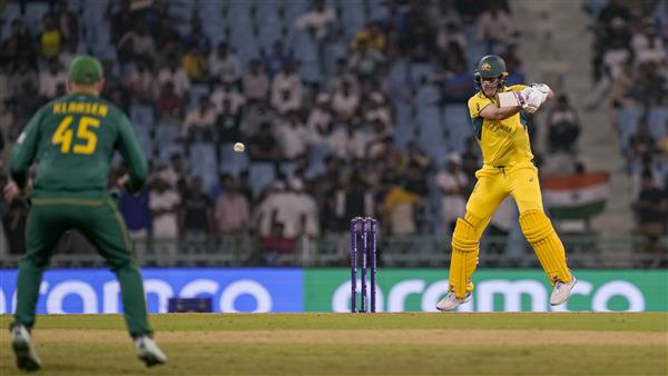 ICC World Cup: Dominant South Africa thrash lacklustre Australia by 134 runs