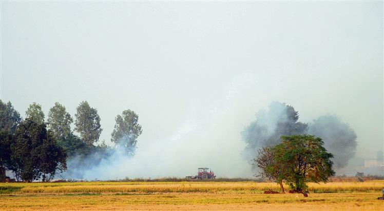 No other option: Farmers justify stubble burning