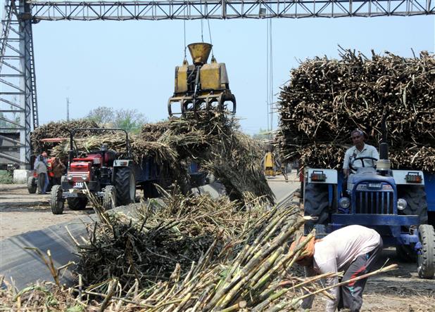 Farmers union demands clearance of cane dues, plans protest on November 2 in Punjab’s Phagwara