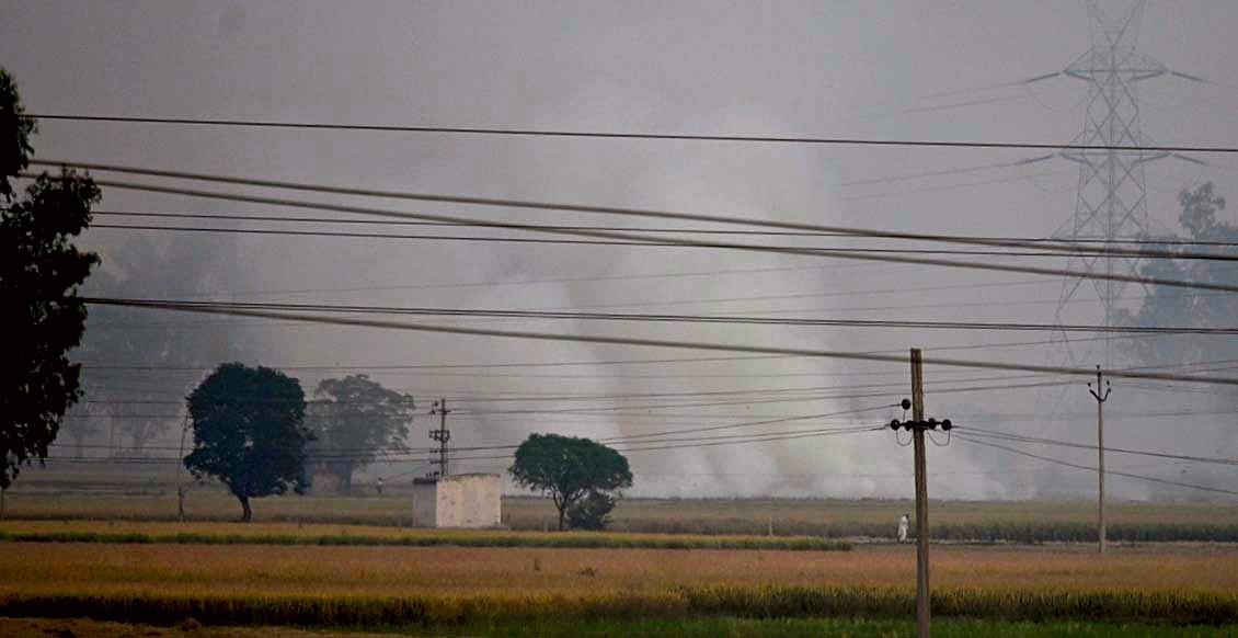 Daily farm fires cross 1K for first time in Punjab, most from Malwa