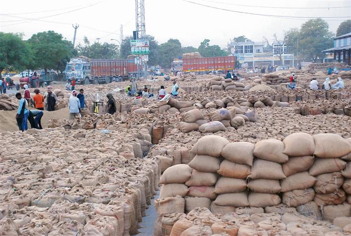Karnal: Slow lifting forces authorities to halt arrival of produce in 5 grain markets