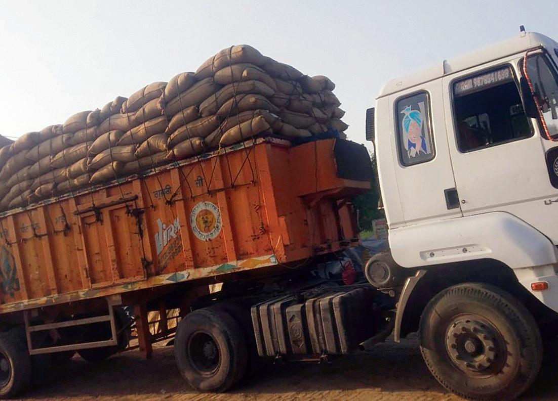 Eyeing hefty profits, unscrupulous traders smuggle paddy into Punjab