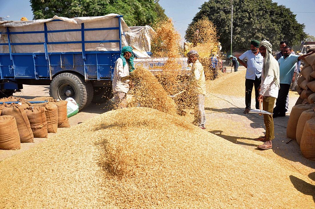Panel formed to probe ‘misuse’ of MFMB portal for paddy sales