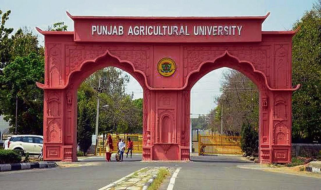 Farmers, experts for Punjab Agricultural University debate