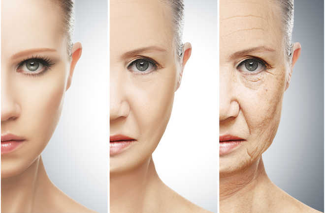 Researchers develop most accurate test yet to measure biological ageing