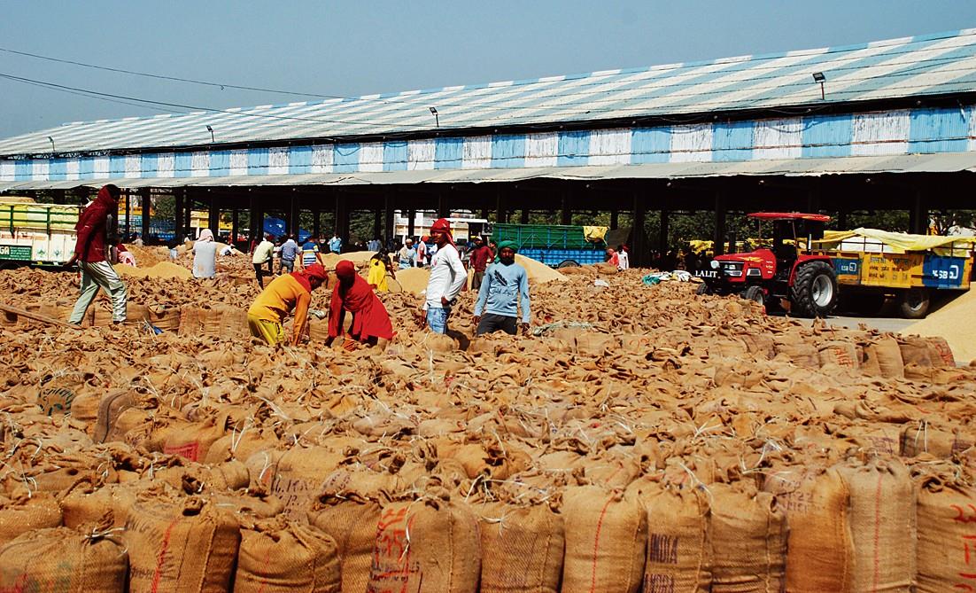 Karnal, Kaithal grain markets chock-a-block with paddy