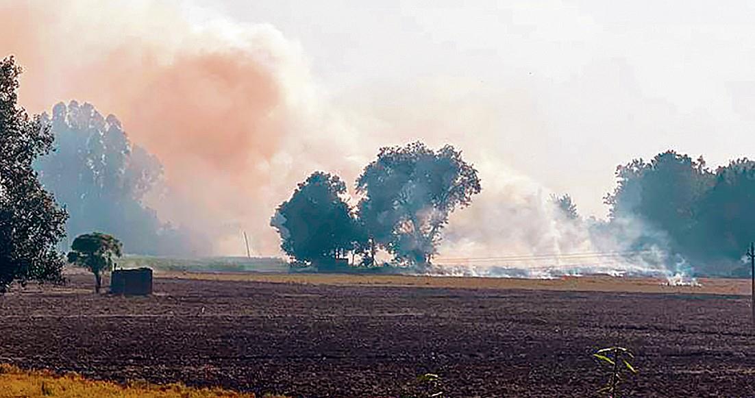 86 active farm fires detected on Sunday near Amritsar