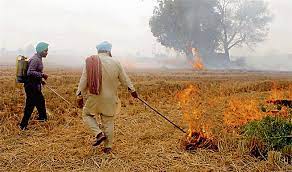 68% of Punjab's farm fires in Amritsar district, no FIR yet