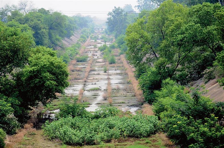 Land returned to owners may come in way of SYL canal survey in Punjab