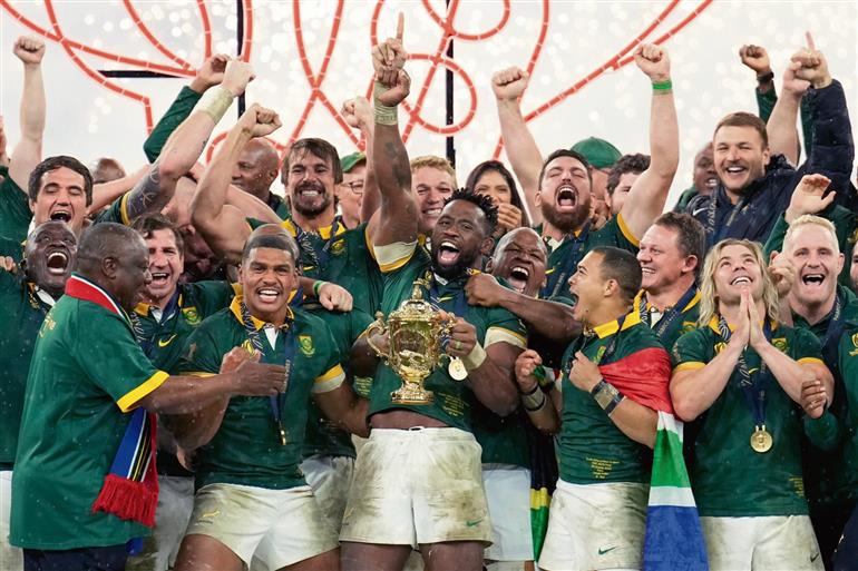 Rugby world cup: Springboks have sprung to top of world