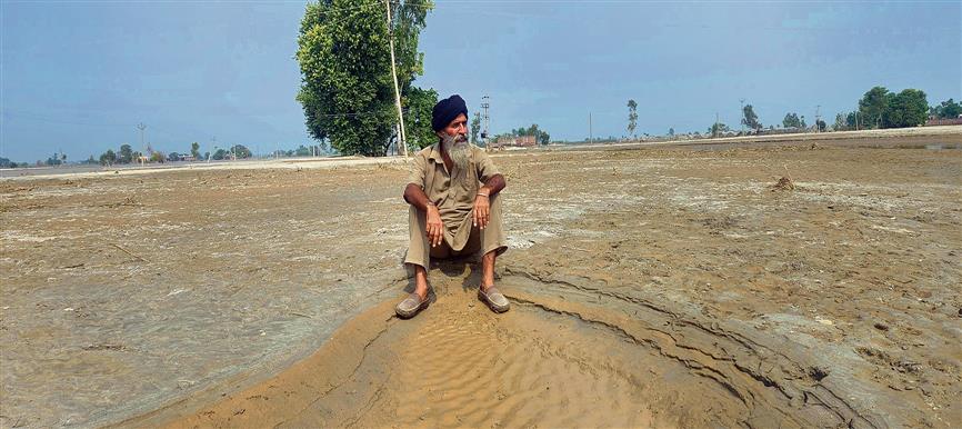 Monsoon fury: 18K acres affected, ‘zero’ paddy produce expected in 15 Sultanpur Lodhi villages