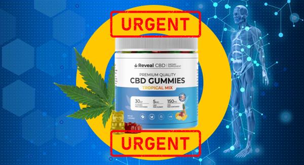 Blue Vibe CBD Gummies Reviews (MEDICAL Warning!) Untold Insights Into Popular BlueVibe Gummies (Side Effects & Consumer Reports)