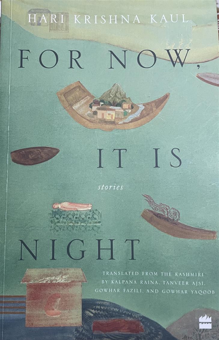 Hari Krishna Kaul’s ‘For Now, It Is Night’ is a chronicle of Kashmir, in all its facets