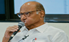 State-level differences should not impact INDIA alliance: Sharad Pawar
