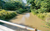 Fazilka’s century-old Eastern Canal system turns perennial