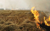 589 farm fires seen in day, PPCB claims 50% decline