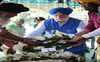 MS Gill laid to rest, wreath placed on ex-PM Manmohan Singh’s behalf