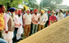 33 lakh metric tonne paddy procured in Amritsar district