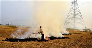 To dodge govt, farmers come up with novel ways of burning crop residue