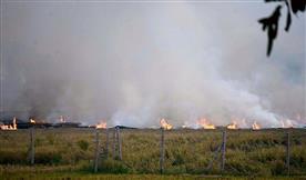 Punjab hinterland bears brunt as farm fires rage