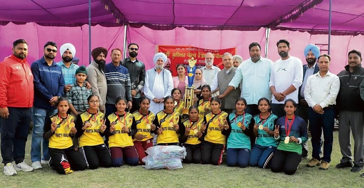 State handball championship: Mansa girls, Ludhiana boys emerge champs