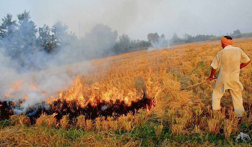 Six arrested for burning crop residue in Kaithal