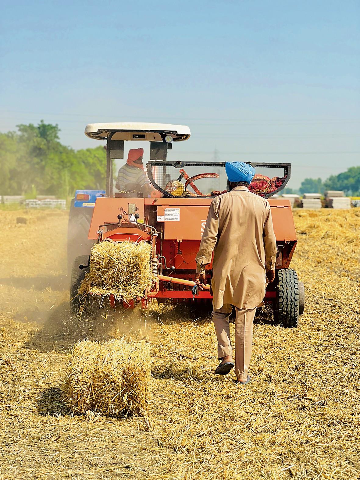 Central teams start verification of stubble machines’ purchase in Punjab