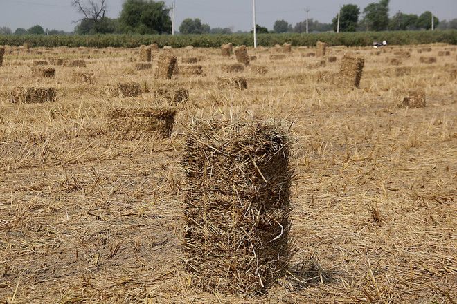 2O LMT straw to be generated  in Patiala district