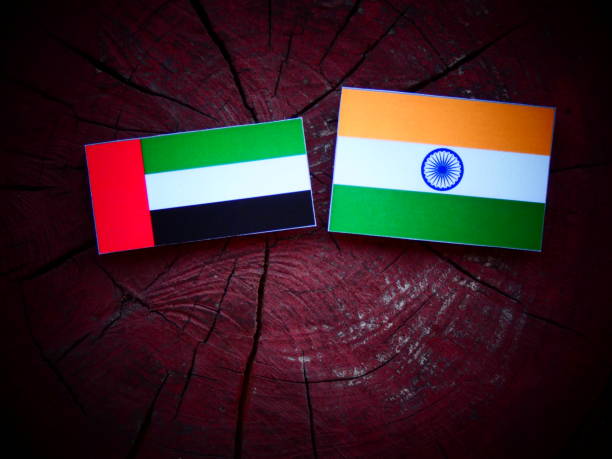 India-UAE trade ties expanding, creating opportunities: Envoy